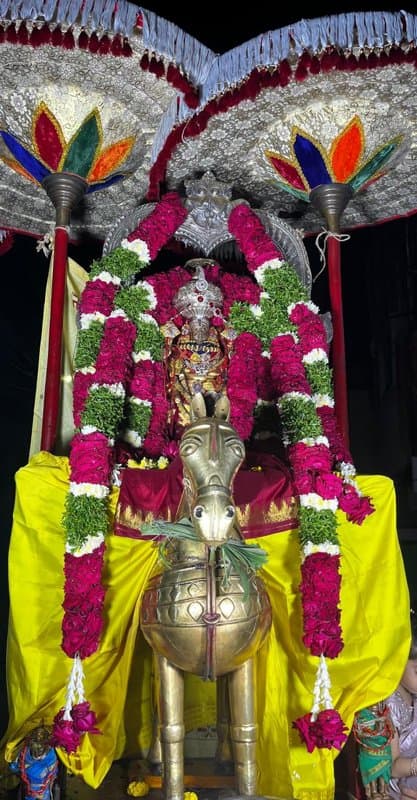 Photo from a previous Brahmotsavam celebration